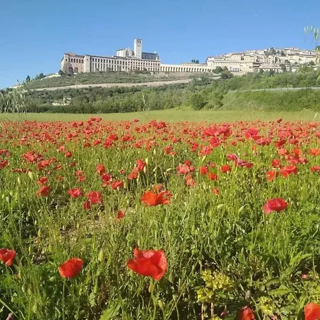 Casetta Delle Rose Assisi Exterior photo