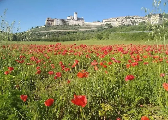 Casetta Delle Rose