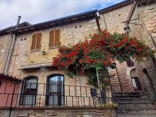 Holiday home Casetta Delle Rose