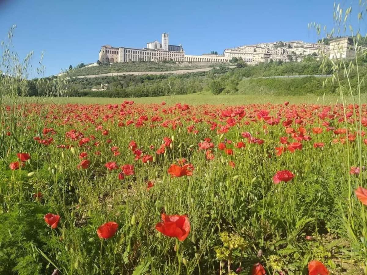 Casetta Delle Rose Holiday home *