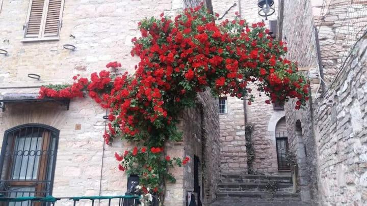 Casetta Delle Rose Assise