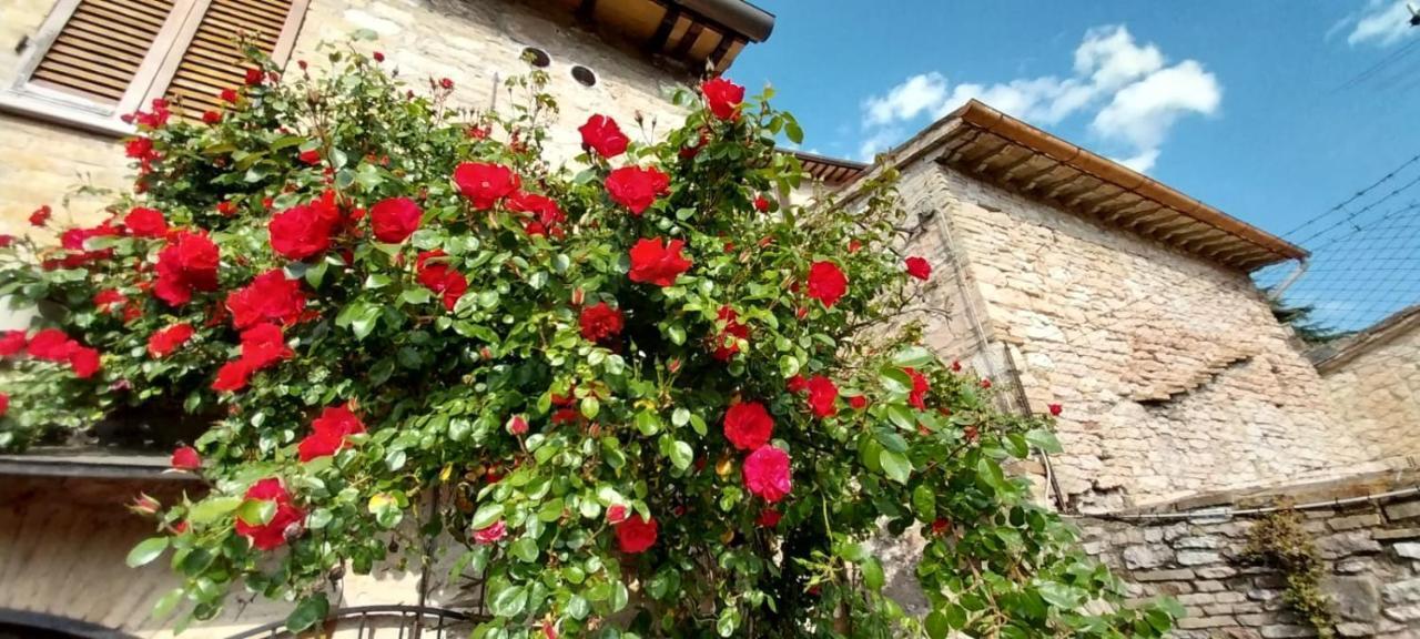 Casetta Delle Rose Holiday home