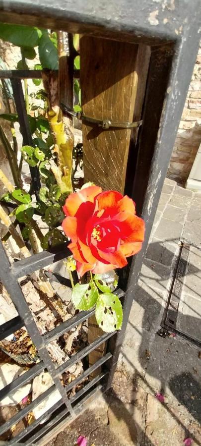 Casetta Delle Rose Assisi