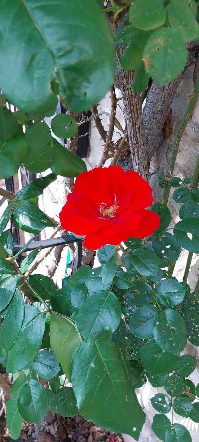 Hébergement de vacances Casetta Delle Rose