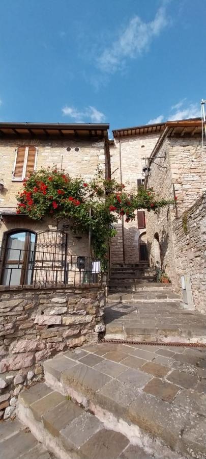 Hébergement de vacances Casetta Delle Rose *